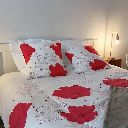 Beau T3 A 5 Min Du Grand Stade Avec Parking Gratuit Appartement *