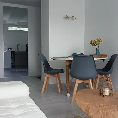 Beau T3 A 5 Min Du Grand Stade Avec Parking Gratuit Appartement *